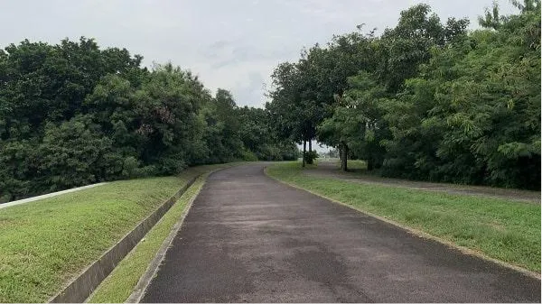Outdoor Activities